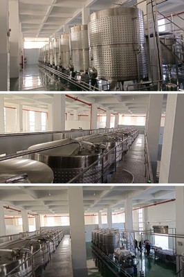 干紅葡萄酒釀造所需要的設備 中型葡萄酒發酵灌裝設備